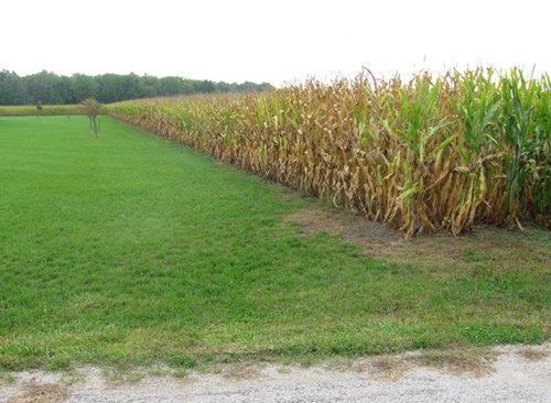 Property photo 21 - Real Estate Auction - 31+/- Acres Offered in 3 Tracts Including a 3-Bedroom Home